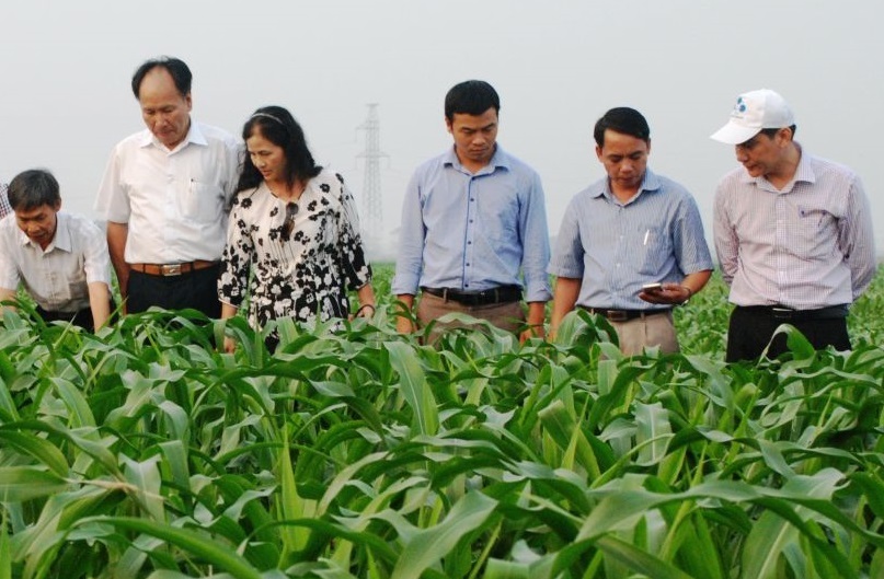 Triển khai thực hiện nghị định của Chính phủ về khuyến nông trên địa bàn tỉnh Kon Tum